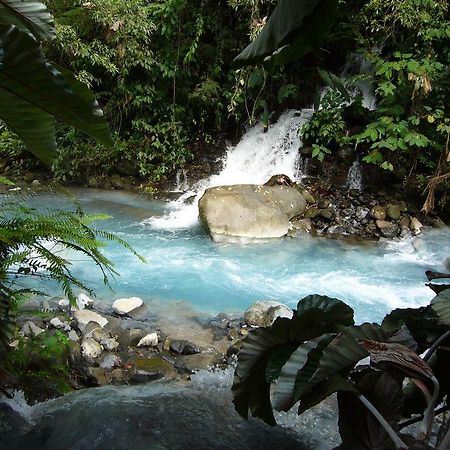 Blue River Resort & Hot Springs El Gavilan Exterior foto